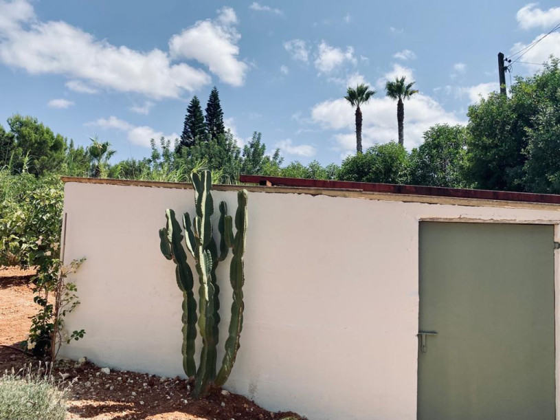 plush74 locations photo film production spain photo villa ibiza00001