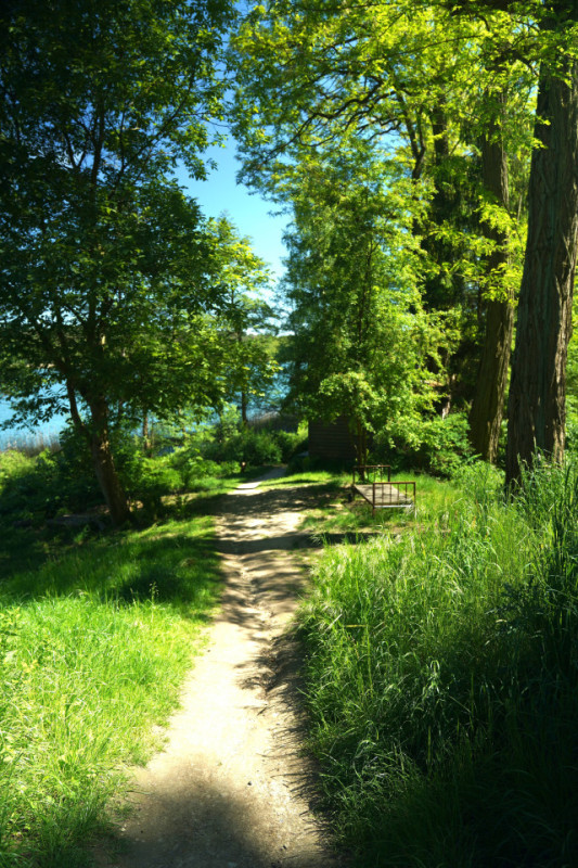 plush74 magical lakeside house 19