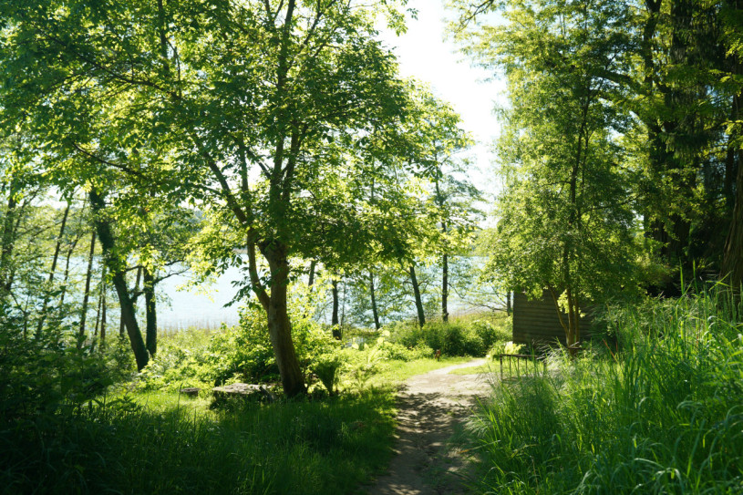 plush74 magical lakeside house 21