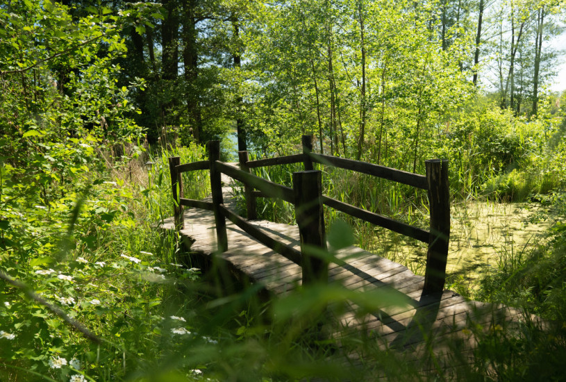 plush74 magical lakeside house 27