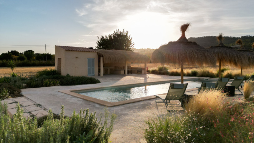 plush74 mallorquin magic 15