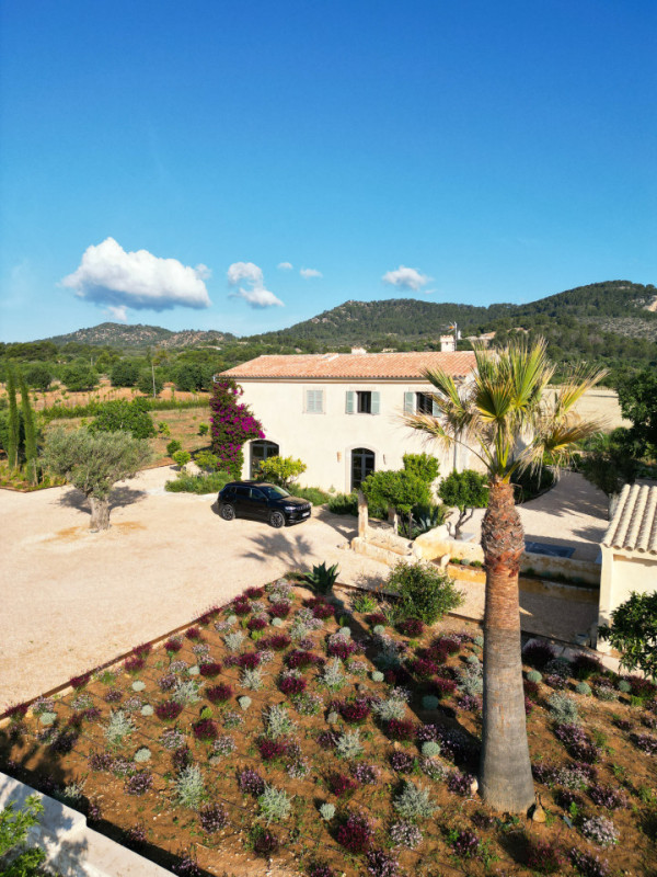 plush74 mallorquin magic 19