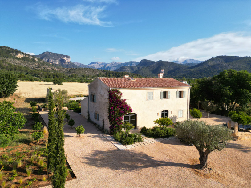 plush74 mallorquin magic 20