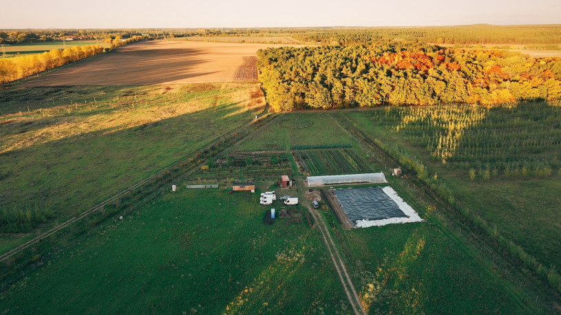 plush74 marsano feld 1(1)