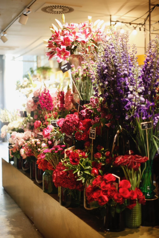 plush74 marsano laden 3