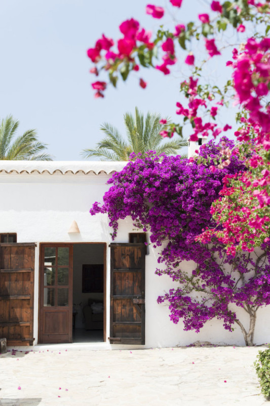 plush74 mediterrane Küsteneleganz 10