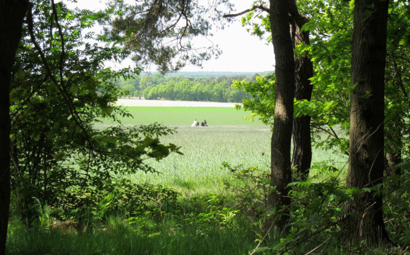 plush74 bungalow aus der mitte des jahrhunderts rhenen 93