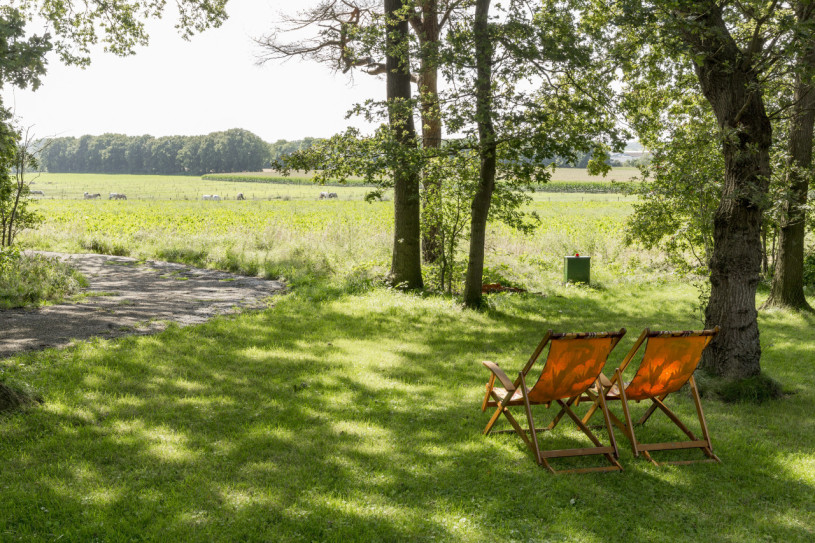 plush74 Bungalow aus der Mitte des Jahrhunderts rhenen 96 (3)