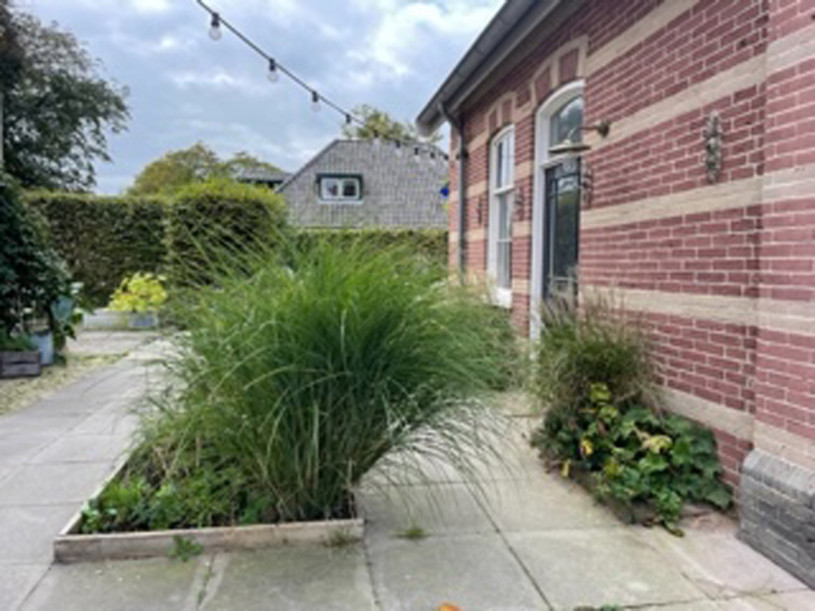 plush74 minimalistic villa netherlands 2 (2)