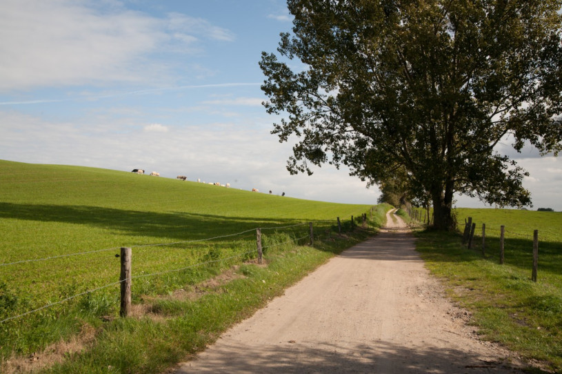 plush74 modern house berlin brandenburg countryside farmhouse nature lake rental scout film photo location18