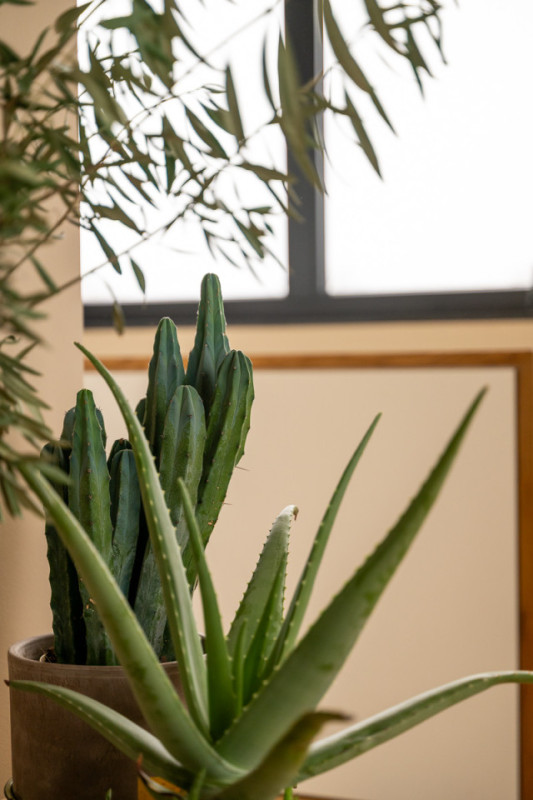 plush74 modern lakeview house berlin area 54