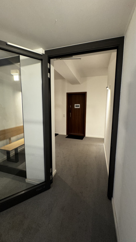 plush74 modern rooftop loft 19