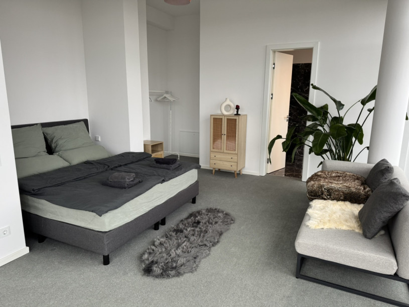 plush74 modern rooftop loft 6