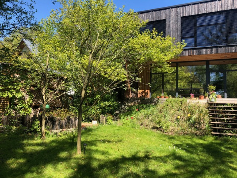 plush74 modern villa schildow 32