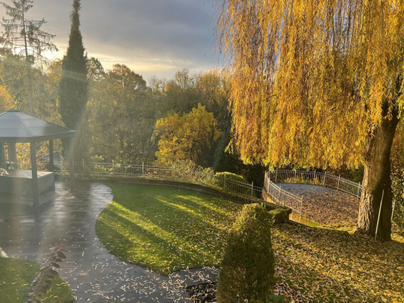 plush74 modernes einfamilienhaus mit pool 3