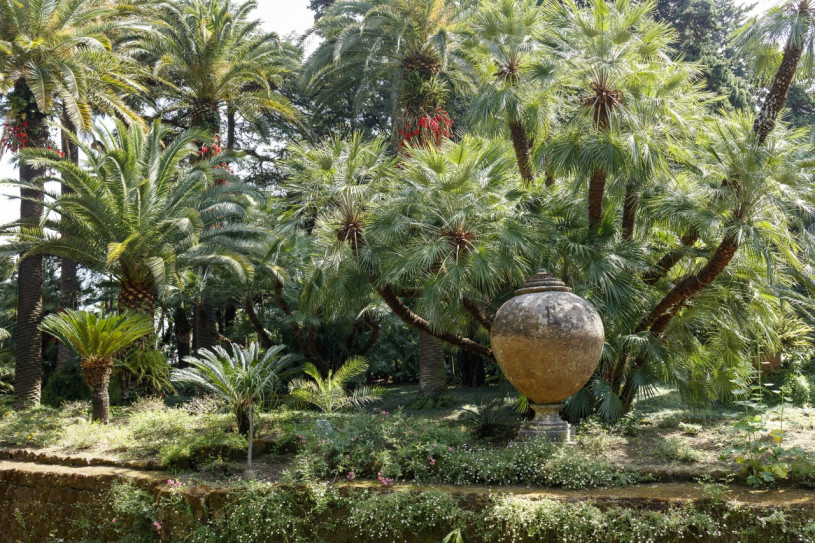 plush74 napoli villa garden 13