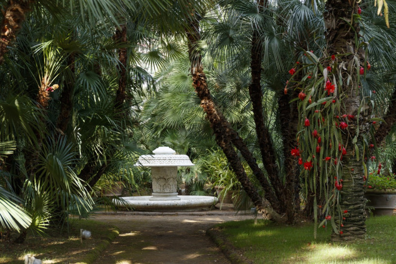 plush74 napoli villa garden 4