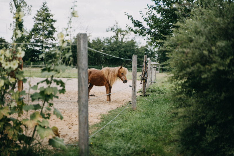 plush74 nature estate outside berlin 21