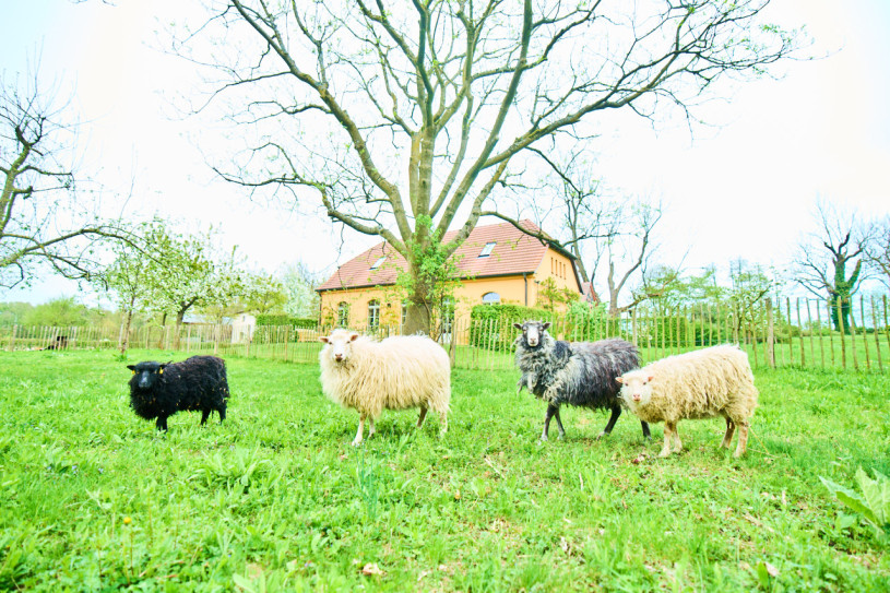 plush74 nature estate outside berlin 29