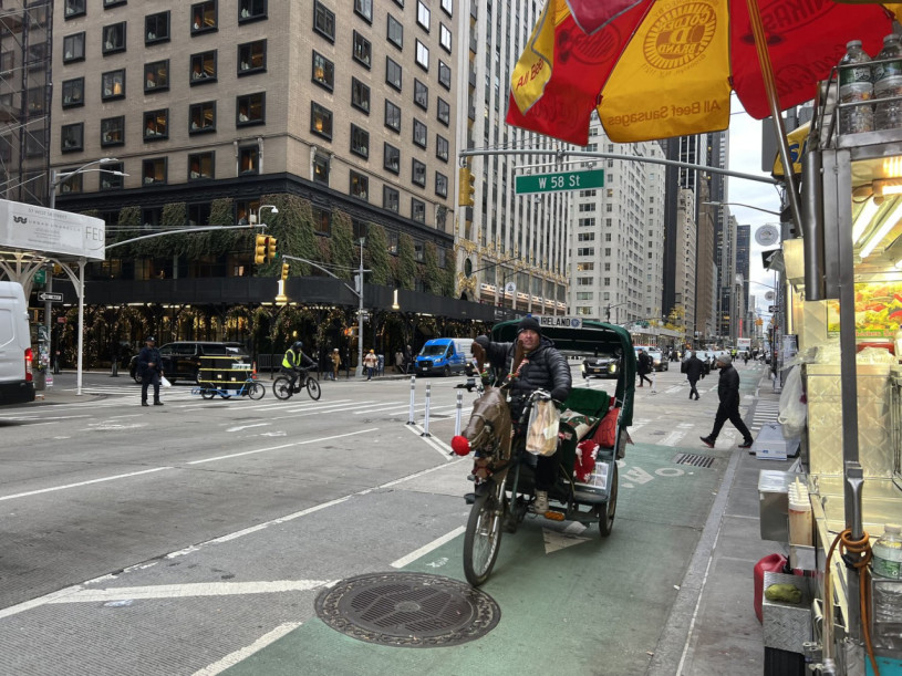 peluche74 new york mid 3