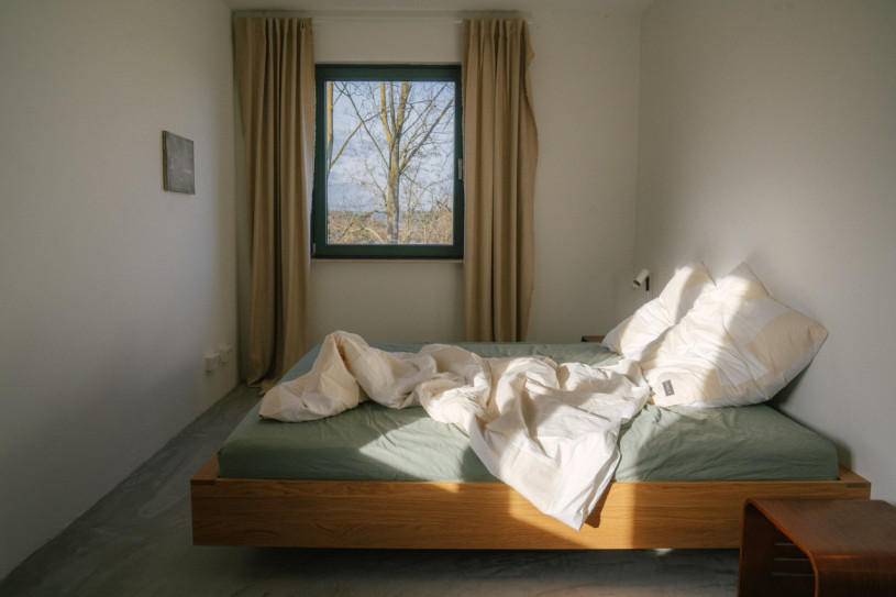 plush74 palais brut 14