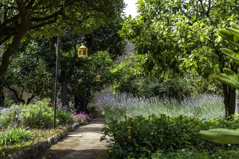 plush74 palazzo giuliana 19