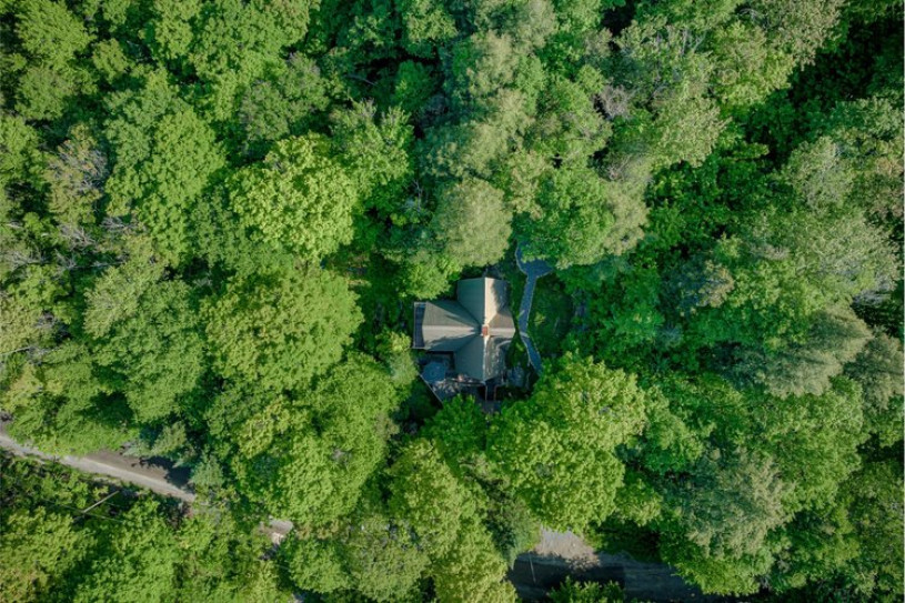 felpa74 foto pelicula evento lugar quebec montreal bosque casa particular 1