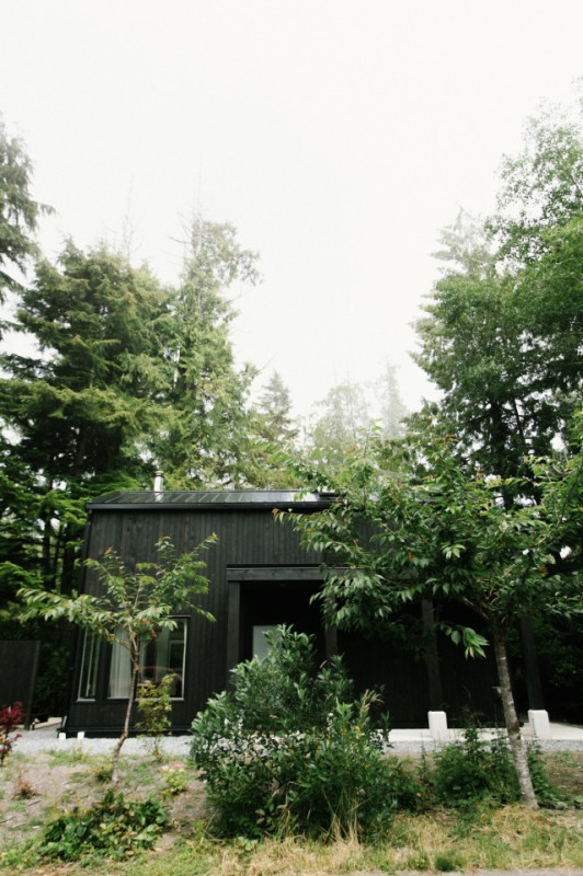 peluche74 foto película evento ubicación tofino ocean forest vancouver island casa privada 1