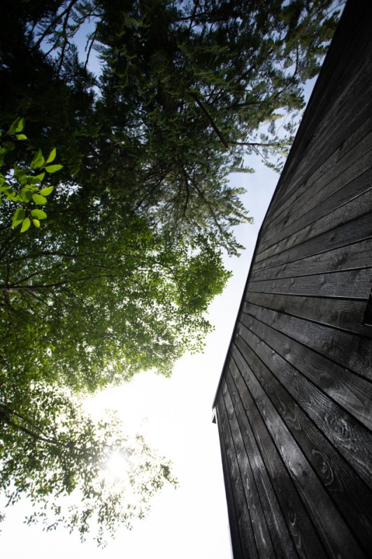 peluche74 película fotográfica lugar del evento tofino bosque oceánico isla de vancouver casa particular 23