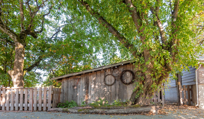 pluche74 fotofilm evenementlocatie vancouver eiland boerderij privéwoning duncan 46