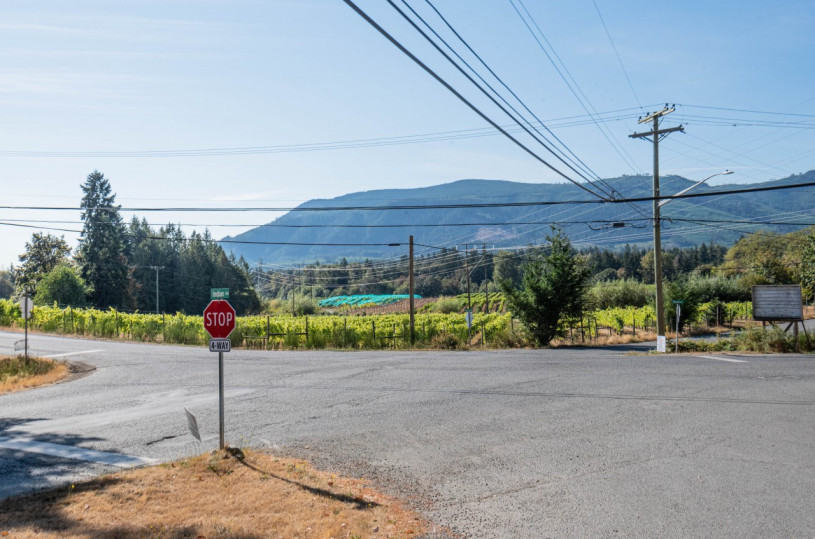 plush74 photo film location vancouver island canada rustic forest cafe store forest 1