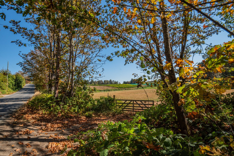 peluche74 foto película lugar isla de vancouver canadá rústico bosque cafetería tienda bosque 10