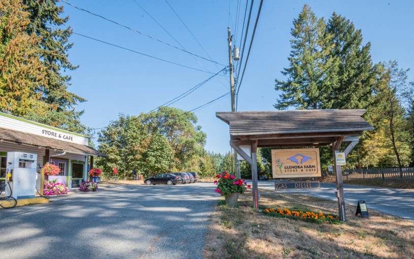 plush74 photo film location vancouver island canada rustic forest cafe store forest 3