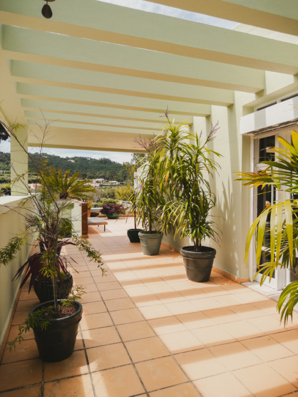 plush74 portuguese oasis villa 12