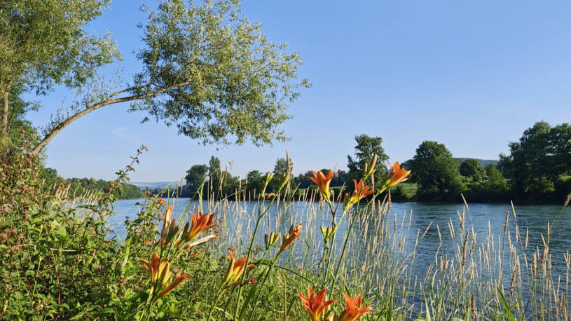 plush74 private garden in aargau 11