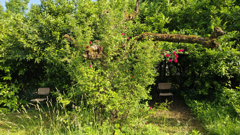 plush74 private garden in aargau 4