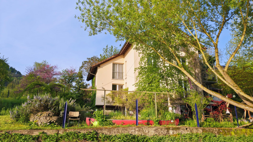 plush74 private garden in aargau 9