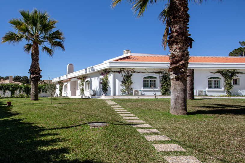 peluche74 quinta fenicotteri 5