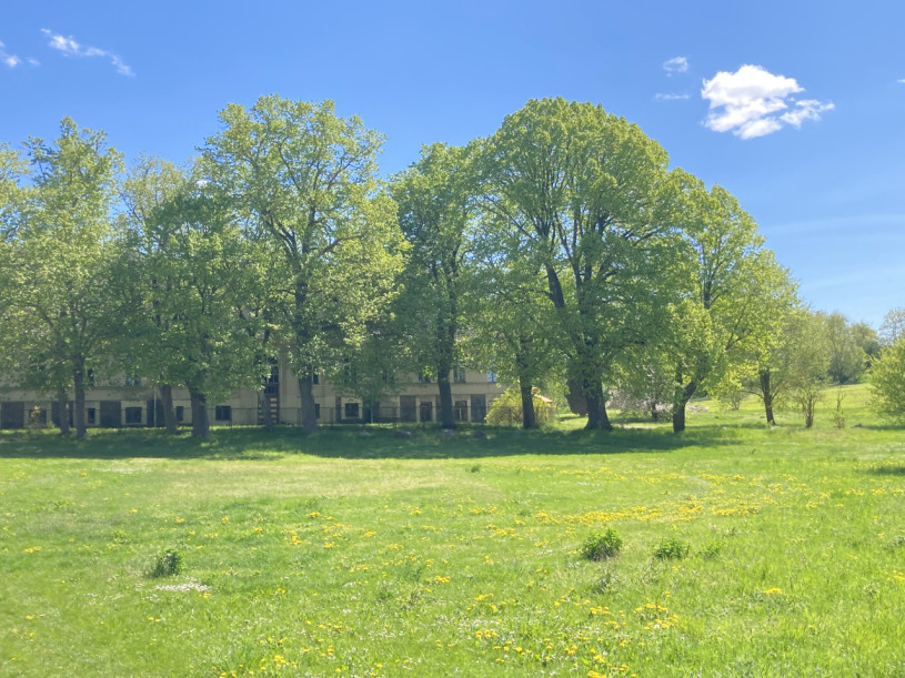 plush74 raw beautiful estate 6