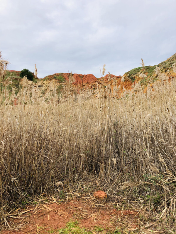 plush74 red quarry 9