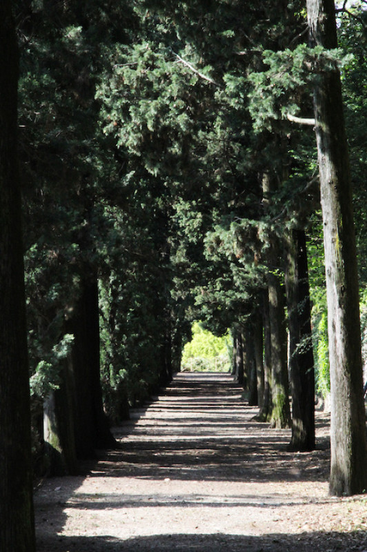 felpa74 alquiler localizacion foto film evento italia lago como villa 25