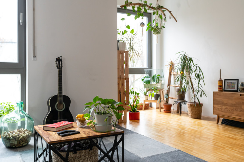 pluche74 verhuur film foto evenement duitsland berlijn appartement 17