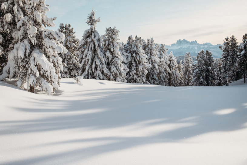 plush74 rental location photo film italy dolomites apartments mountain00074