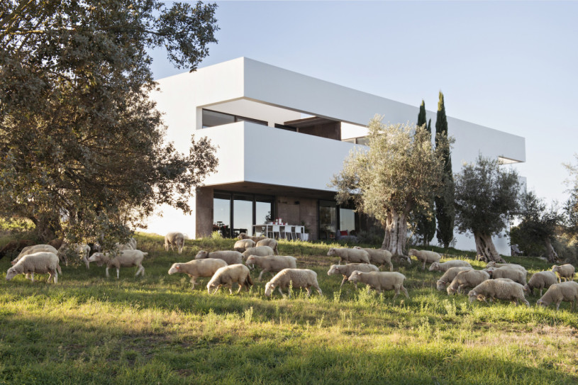 plush74 rental photo film event villa portugal countryside00004