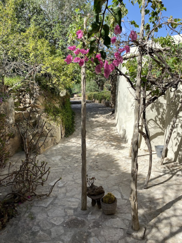 plush74 rental photo film event villa spain ibiza countryside00022