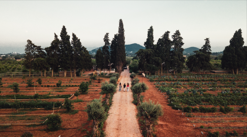 plush74 rental productions locaiton photo film farm ibiza spain00010