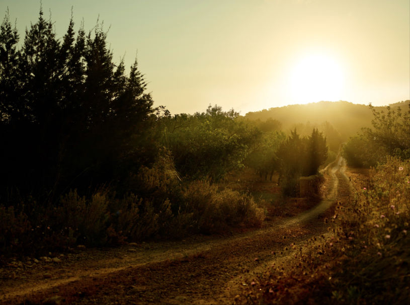 plush74 rental productions locaiton photo film farm ibiza spain00013