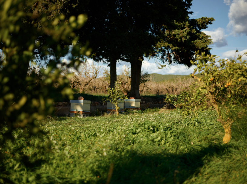 plush74 rental productions locaiton photo film farm ibiza spain00015