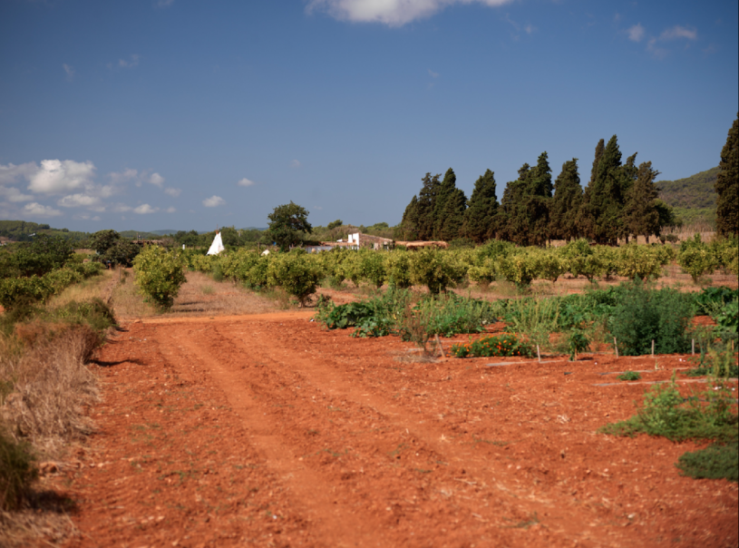 plush74 rental productions locaiton photo film farm ibiza spain00016