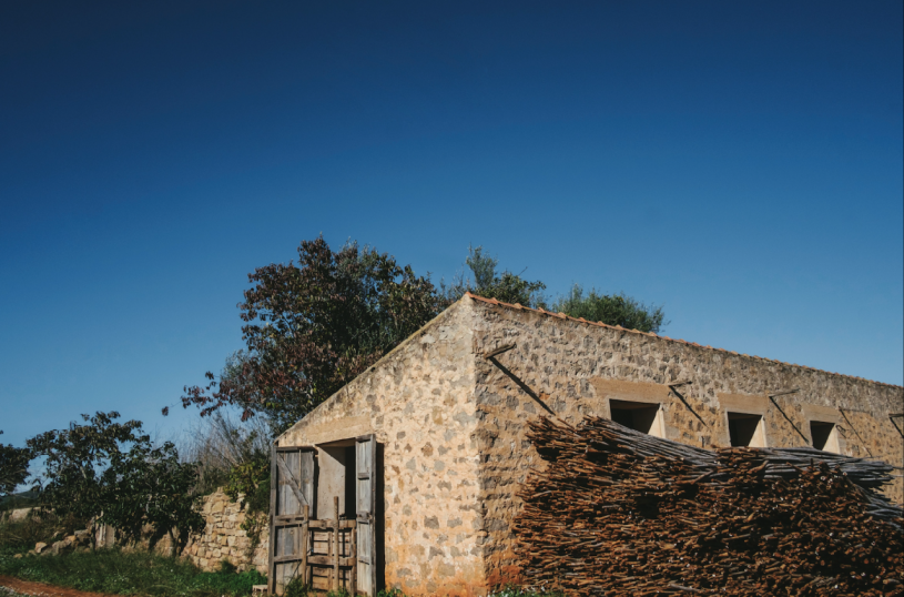 plush74 rental productions locaiton photo film farm ibiza spain00034